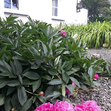 Ferienhaus-pirmes-neueroeffnung-1-august-fuer-bis-zu-12-gaeste Holiday home Buch (Rhein-Hunsruck-Kreis)
